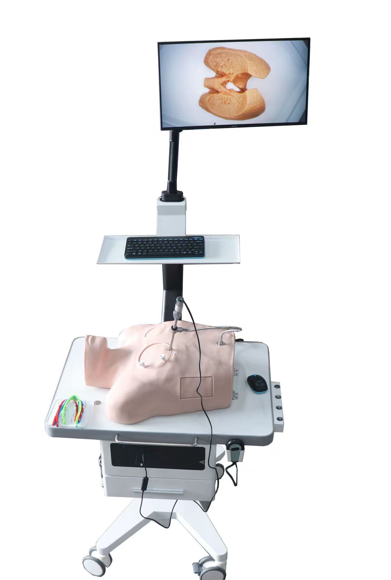 THORACOSCOPY SIMULATORS